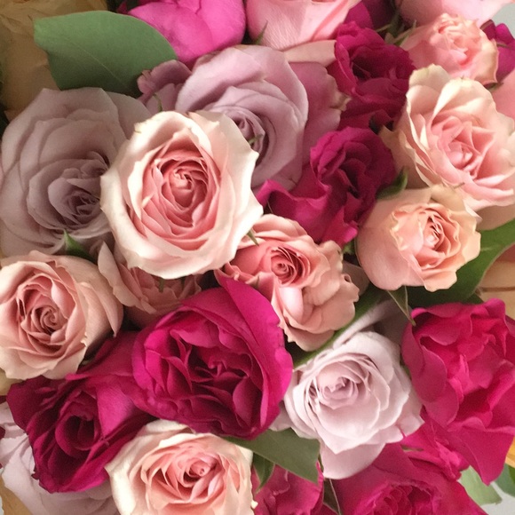 Meet your Posher, Pamela - Picture 1 of 2